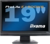 19 cali iiyama Prolite E1900WS-B3 black