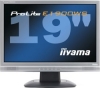 19 cali iiyama Prolite E1900WS-S3 silver