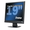 19 cala iiyama Prolite E1900S2 black