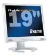 19 cali iiyama ProLite H481S-W6S white
